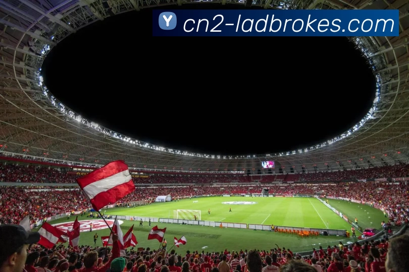 App Interface Preview